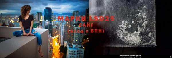 гидра Заволжск