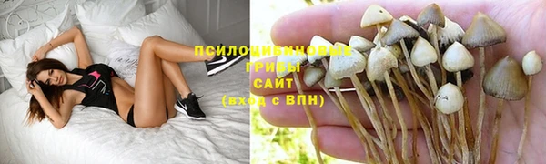 гидра Заволжск