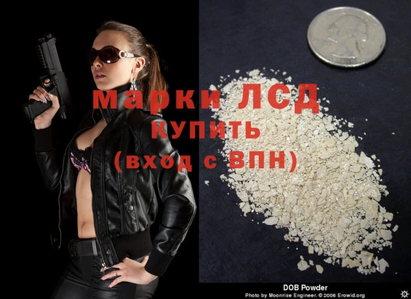 ГАЛЛЮЦИНОГЕННЫЕ ГРИБЫ Заводоуковск