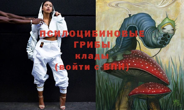 гидра Заволжск