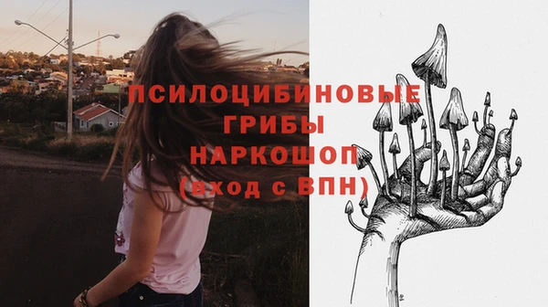 гидра Заволжск