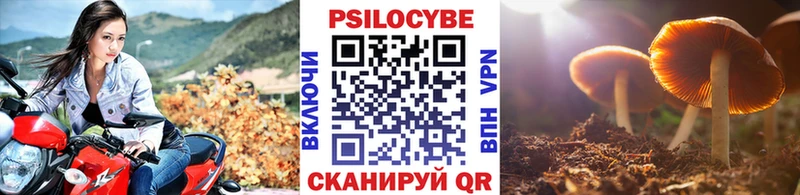 Галлюциногенные грибы Psilocybe  Купить закладки  Верхнеуральск 
